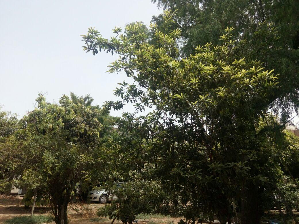Nature Trail Camps & Homestay Jodhpur  Exterior photo