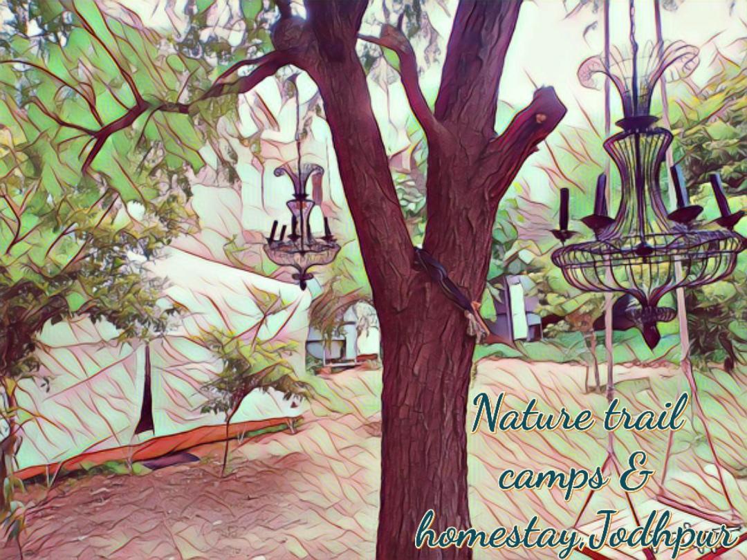 Nature Trail Camps & Homestay Jodhpur  Exterior photo
